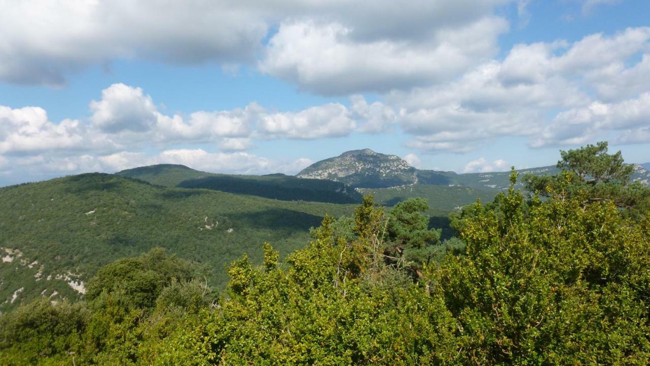 Can Pedragos Sales de Llierca Esterno foto